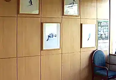 Servicio de Enchapado